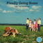 Blue cover