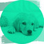 Music for Cute Dogs (Glockenspiel Music) cover