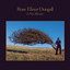 A New Illusion cover