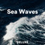Blue Leaves Nature Music - Calming Ocean Waves