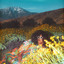 Brittany Howard - Patience