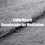Calm Beach Soundscape for Meditation cover