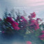Secrets cover
