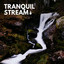 Tranquil Stream cover