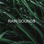 Rain Sounds cover
