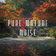 Pure Nature Noise cover