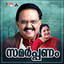 Vidarunnu Nee En cover