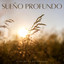 Sueño Profundo: Olas De La Naturaleza cover