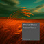 Wind of silence - Original Edit