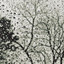 Rain Lullabies 2019: Peaceful Sleep for Baby cover