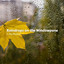 Raindrops on the Windowpane: A Meditation cover