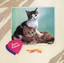 Suara Kekasih Alleycats cover