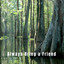 Always Bring a Friend cover