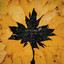 AUTUMN DAYS - And Nights JIM