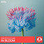 In Bloom - Extended Mix
