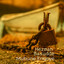 Buddu Owedda cover