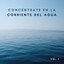 Concéntrate En La Corriente Del Agua Vol. 1 cover