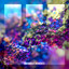 Day Dream - Extended Mix
