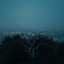 By The Coast - Endlessly