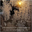 FLINGOR SOM KRISTALLER cover