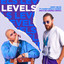 Levels - Nico de Andrea Extended Remix