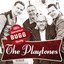 Bugg cover