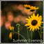 Dvořák: Summer Evening cover