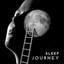 Sleep Journey: Celtic Sleep Music for Insomnia Cure & Irish Night Mood cover