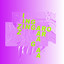 Zingaro