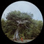 Raphael Gimenes - Cacador De Horizontes