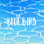 Blue Bird cover