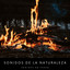 Sonidos De La Naturaleza: Sonidos De Fuego cover