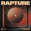 Rapture (BLR Remix) - Extended Mix