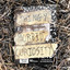 Morbid Curiosity cover