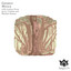 Speedwalking - Matthus Raman Remix