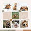 Ambiance for Cute Puppies cover