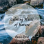 River's Sound: Calming Music of Nature cover