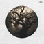 Bandikoot — Arkona cover art