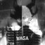 WAGA - ULTRA SLOWED