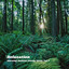 Relaxation: Morning Ambient Energy Music Vol. 1 cover