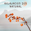 Relajacion Zen Natural - Relajese con la Musica Ambient y los Sonidos de la Naturaleza Creados para la Meditacion, la Relajacion, el Spa y el Bienestar cover