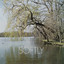 Softly - Remastered - Sammy Burdson & John Charles Fiddy