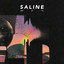 Saline - Salsa & Beer #3
