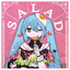 SALAD cover