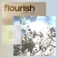 flourish cover
