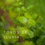 Tonos De Lluvia: Un Millón De Gotas De Agua Vol. 1 cover