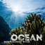 Ocean: Sounds of Salty Water cover
