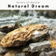 1 Natural Dream cover