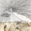 Jawhar - Leghreeb