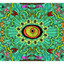 Caterpillars cover